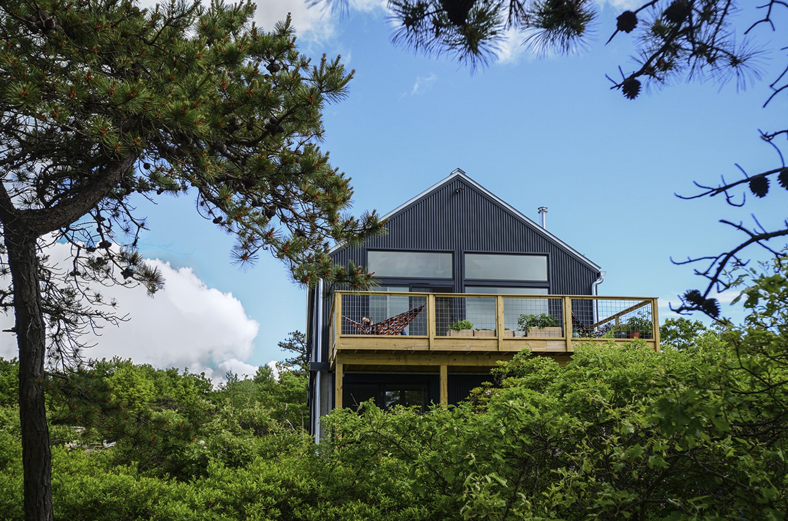 Laurel Mtn — architectural detail