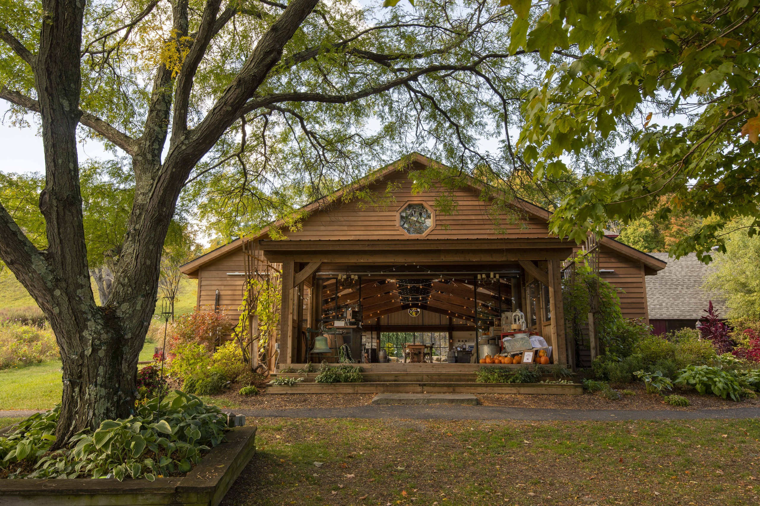 Red Maple Vineyard — additional view